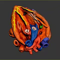 Detailed Anatomical Model of Human Heart Organ with Fine Hair Structures