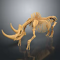 3D Rhinoceros Skeleton Model With Long Vertebrae Two Horns On Black Background With Reflection
