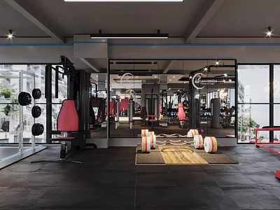 Modern Fitness Gym Interior With Pink Punching Bags Barbells Mirrors And Large Windows 3d model