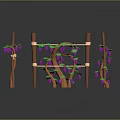 Fresh Purple Grapes Hanging On Green Vines Over Wooden Stick Frames On Brown Ground
