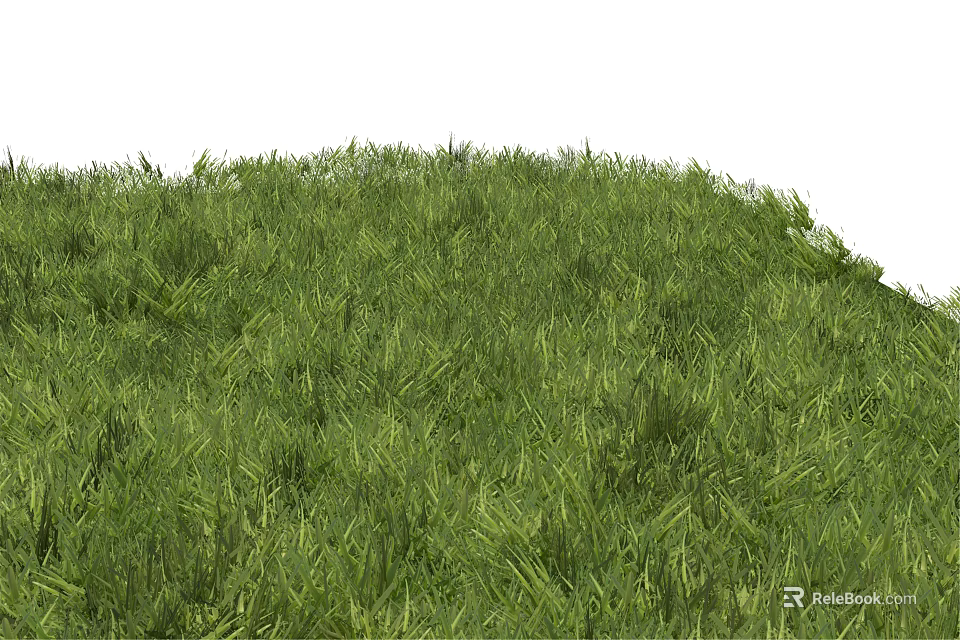 Lush Green Grass And Vibrant Flowers In Natural Outdoor Meadow Scene 3d model 