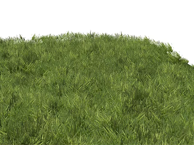 Lush Green Grass And Vibrant Flowers In Natural Outdoor Meadow Scene 3d model