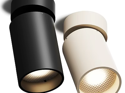 Modern Ceiling Light Fixture With Black And White Design And Illuminated Effect 3d model