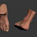 Man's Foot Anatomical Structure Showing Detailed Ankle And Toe Features On Black Surface