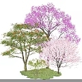 Vibrant Arbor Trees With Purple Pink Green Blooms And Lush Foliage In Garden