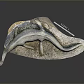 Prehistoric Plesiosaur Model With Long Neck On Transparent Base