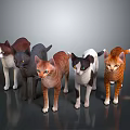 Different Colored Cats Standing Together on Smooth Reflective Surface