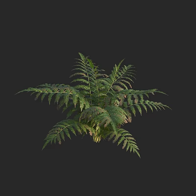 Modern Golden Hair Dog Fern 3d model