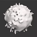 Spherical Biological Organ Structure With Hair Like Protrusions On White Surface