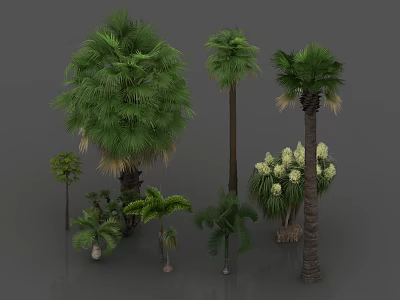 Various Arbor Species Including Tall Palm Trees With Green Foliage And White Blossoms 3d model
