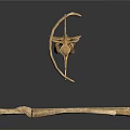 Various Animal Skeletal Remains Featuring Different Bone Types Shapes And Structures