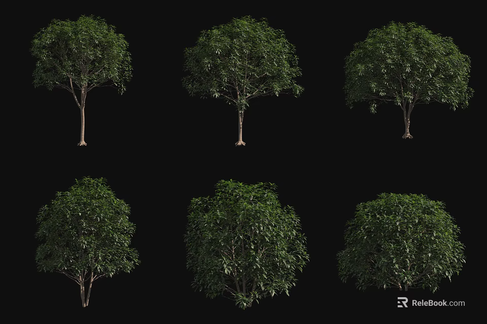 Various Arbor Trees With Lush Green Foliage Displayed On Black Background 3d model
