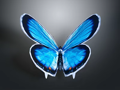 Stunning Blue Butterfly With Black Edged Wings On Dark Gradient Background 3d model