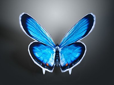 Modern Butterfly Colored Butterfly Tabby Butterfly Leaf Butterfly 3d model