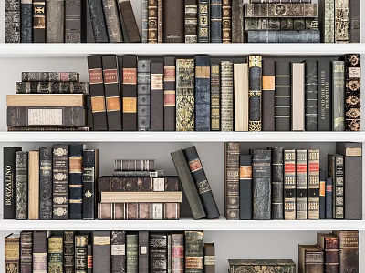 Vintage Hardcover Books Collection On Shelves With Stacked Classic Books And Various Designs 3d model