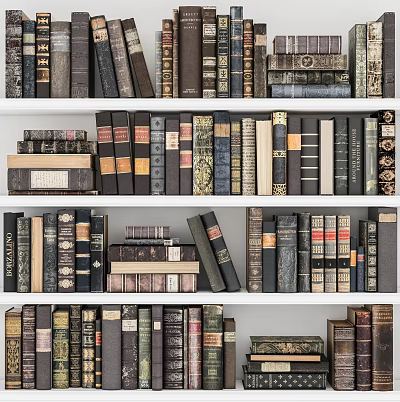 Vintage Hardcover Books Collection On Shelves With Stacked Classic Books And Various Designs 3d model