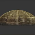 Round Sea Urchin With Spiny Exterior And Natural Texture Marine Aquatic Animal