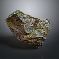 Natural Wood And Stone Decorative Piece With Irregular Shape Green Moss And Organic Surface Texture