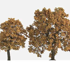 Big Tree Autumn Tree Yellow Leaf Tree 3d model