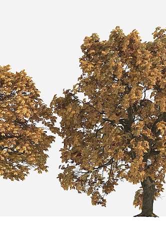 Big Tree Autumn Tree Yellow Leaf Tree 3d model