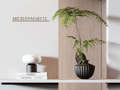 Elegant Bonsai Potted Plant On Wooden Shelf With Books And Marble Decor 3d model