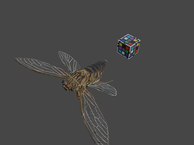 Detailed Cicada With Transparent Wings And Colorful Rubik's Cube On Gray Background 3d model
