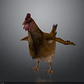 Brown Chicken With Red Comb And Wattles Spreading Wings On Gray Background