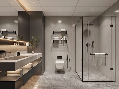 Modern Bathroom Interior Design With Double Vanity Mirror Plant And Glass Shower Enclosure 3d model
