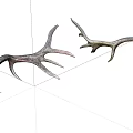Natural Antler Animal Wall Decor Pieces for Rustic Home Decoration