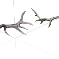 Modern antlers elk antlers 3d model