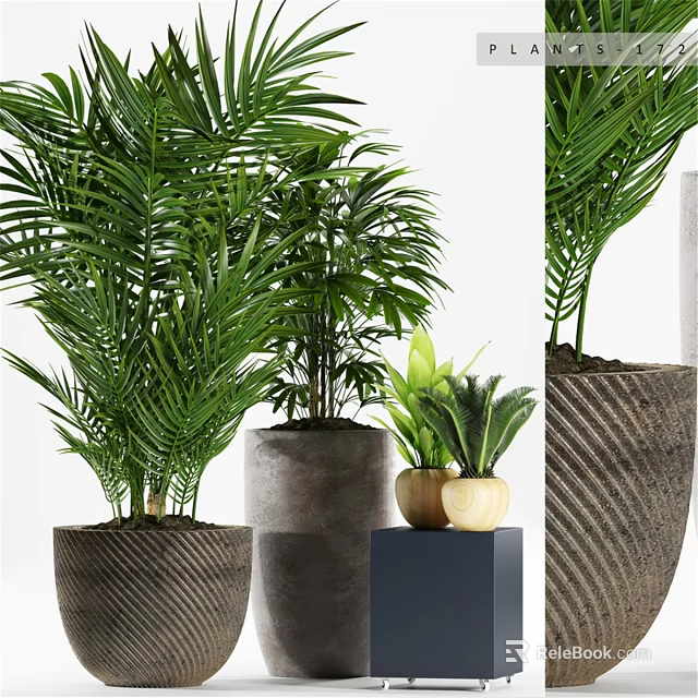 Decorative Ornament Set With Various Green Potted Plants Textured Gray Planters And Wooden Small Pots 3d model 