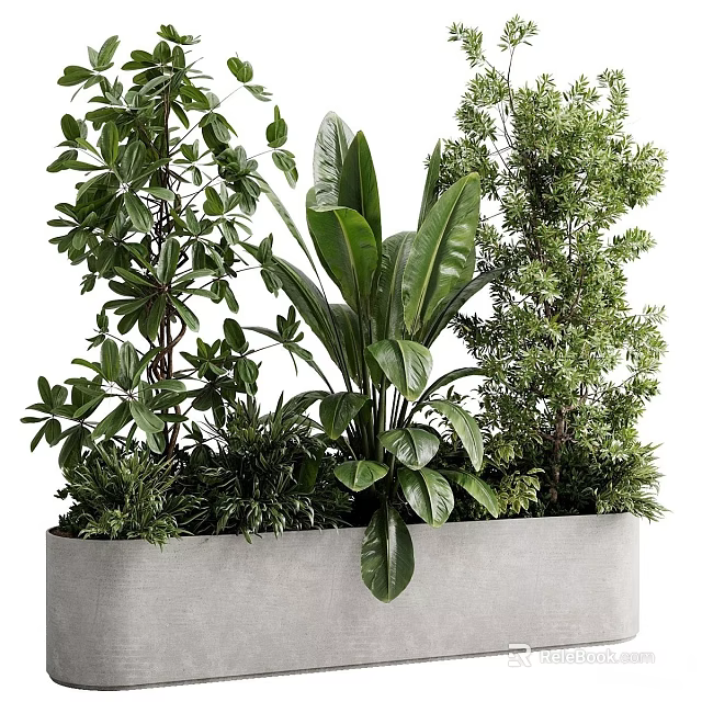 Gray Concrete Tree Planter Filled With Diverse Green Plants And Foliage 3d model 
