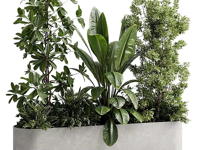 Gray Concrete Tree Planter Filled With Diverse Green Plants And Foliage 3d model