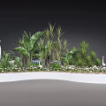 Tropical Plant Combination With Banana Leaves Palm Plants And White Storks In White Brick Planter