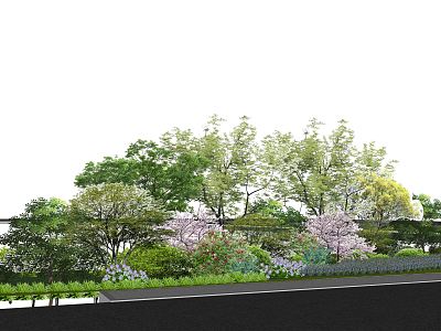 Modern plants Trees and shrubs Plant clusters model