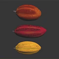 Three Vibrant Cocoa Pods in Yellow Red and Orange Tones on Reflective Black Background