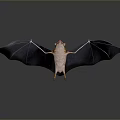 Bat With Spread Black Wings Light Colored Body And Red Head On Dark Background