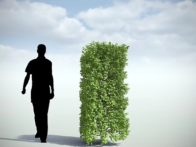 Tall Green Bush Standing Beside Walking Silhouette Under Blue Sky With White Clouds 3d model