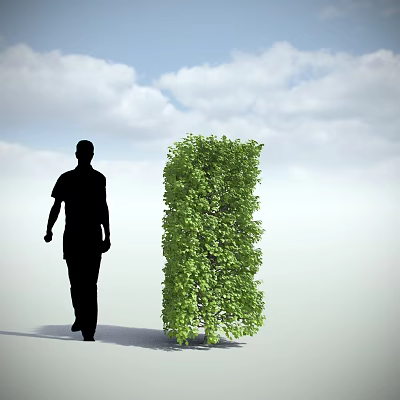 Tall Green Bush Standing Beside Walking Silhouette Under Blue Sky With White Clouds 3d model