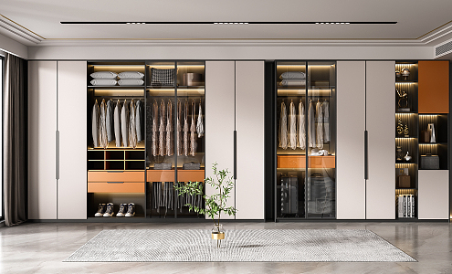 Modern wardrobe combination 3d model