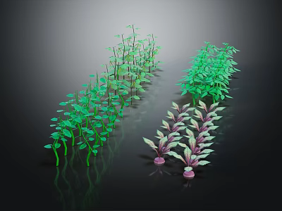 Various Types of Green and Purple Crop Seedlings Neatly Arranged on Black Background 3d model