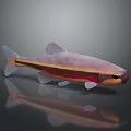 Vibrant Striped Fish Featuring Pink Yellow Red Body And Shiny Reflection