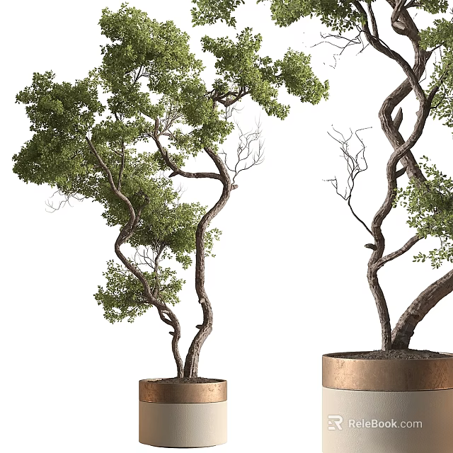Decorative Ornament Set With Curved Tree Trunks Green Leaves And Golden Pots 3d model 
