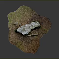 Natural Wood and Stone on Grass Ground with Fallen Leaves