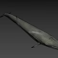Realistic Whale Swimming Gracefully In Clear Blue Ocean Water Scene