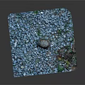 Turtle With Colorful Shell Crawling On Blue Stones In Natural Scene
