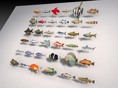 Various Colorful Aquatic Animals Including Different Fish Species And Shark 3d model
