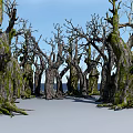 Moss Covered Leafless Trees Scenic View With Blue Sky Over White Snowy Ground