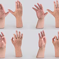 Man's Hands Displaying Various Gestures In Multiple Different Poses And Views