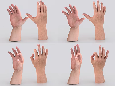 Man's Hands Displaying Various Gestures In Multiple Different Poses And Views 3d model